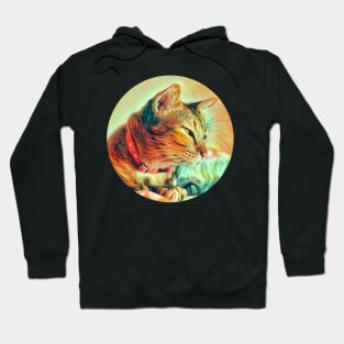 Friendly floppy cat Hoodie